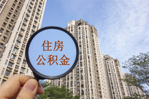 淮滨辞职了补充公积金能取不（辞职后补充公积金如何提取）